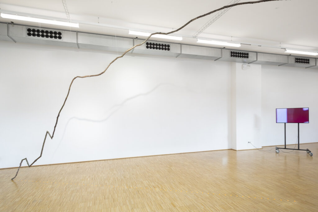 unsought good |exhibition view | ©sebastiansix